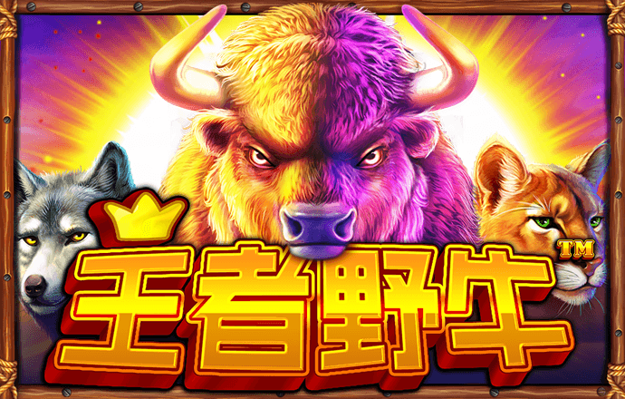 金年汇app官方金年会